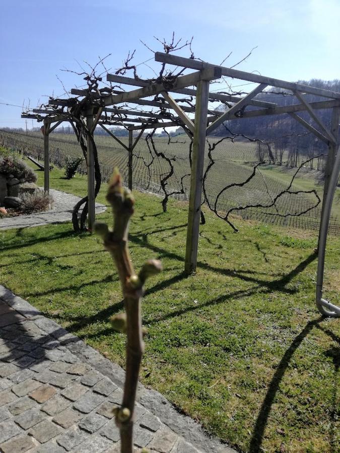 Das Weinberghaus Ratsch an der Weinstraße Exteriör bild