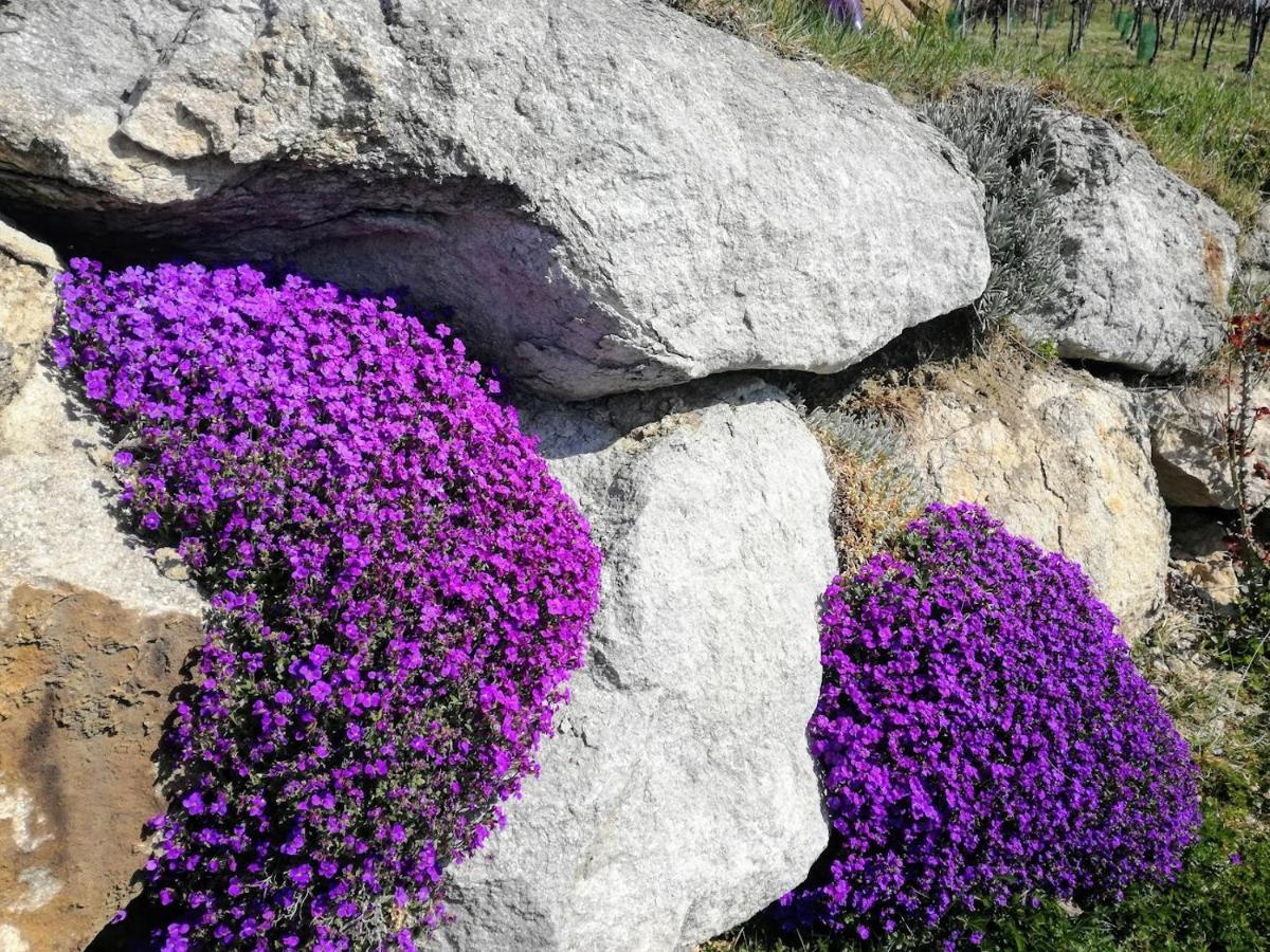 Das Weinberghaus Ratsch an der Weinstraße Exteriör bild