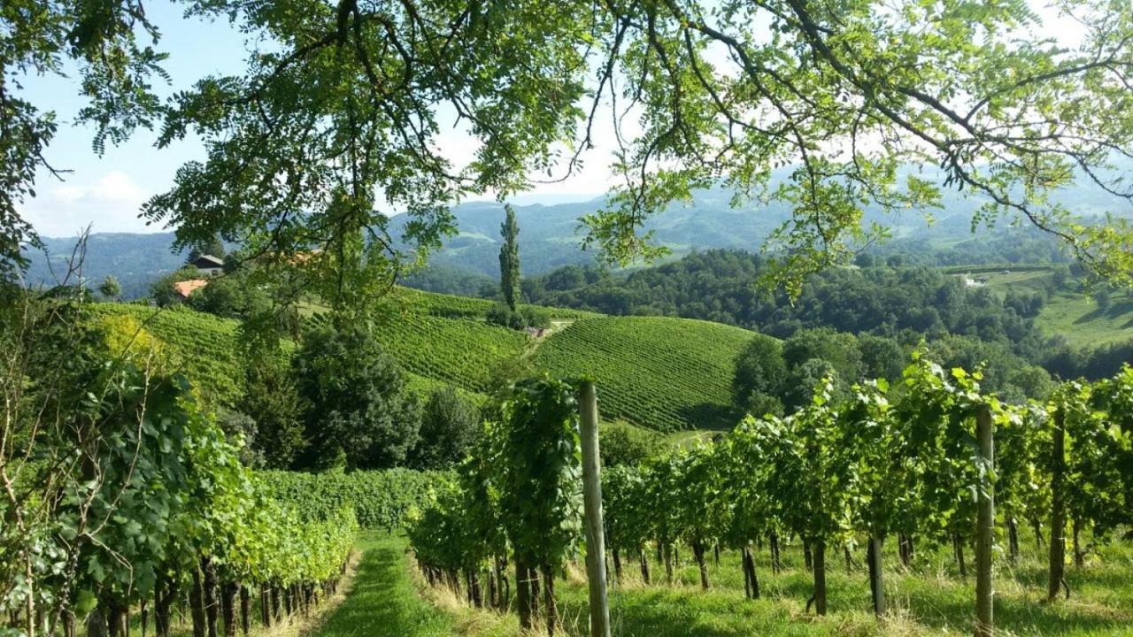 Das Weinberghaus Ratsch an der Weinstraße Exteriör bild