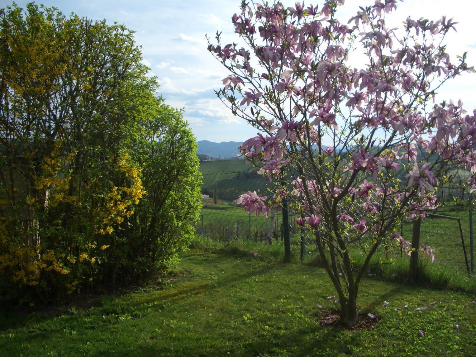 Das Weinberghaus Ratsch an der Weinstraße Exteriör bild